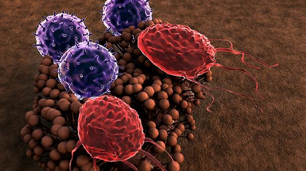 宝宝出现诺如病毒怎么办