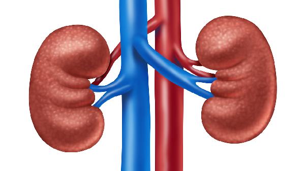 CT报告微小肾结石为多大