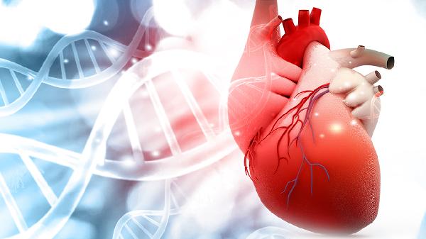 纤维素性心包炎原因有哪些 浅析纤维素性心包炎3个原因