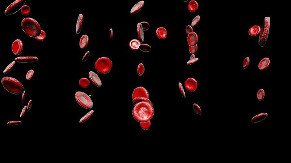 红细胞叠连的原因