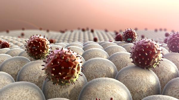 尿液检查白细胞3+是什么意思