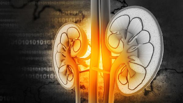 检查肾功能要空腹吗 检查肾功能禁忌事项盘点