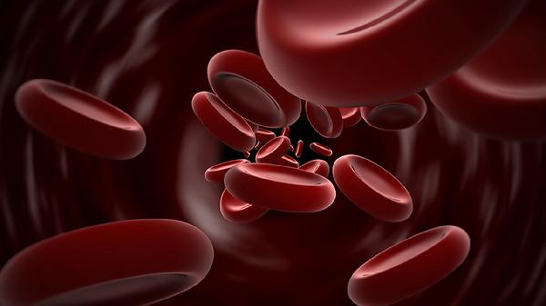 生活中应提高对癌症的重视程度 想要防癌、抗癌 这四点不能忽视