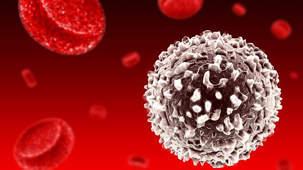 长期不吃肉会白细胞降低吗