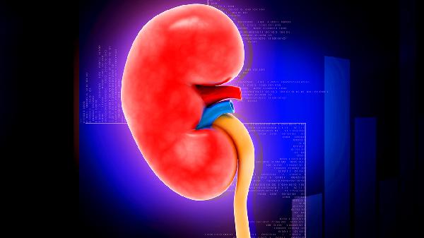 老年人突然尿血的原因是什么