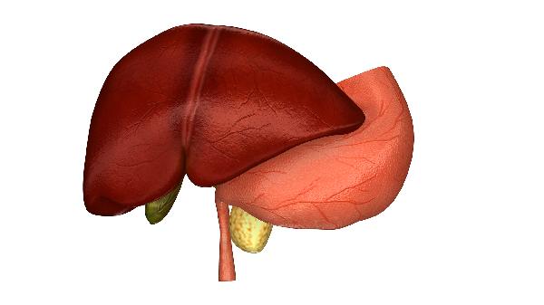 肝癌患者如何就诊