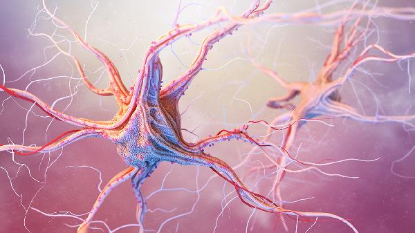 牙神经坏死不治疗有什么后果