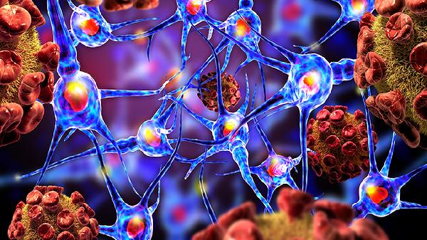 孩子没生病为什么中性粒细胞低