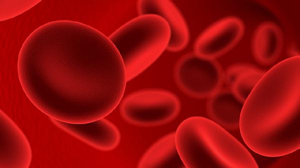 CD4+T淋巴细胞百分比是多少